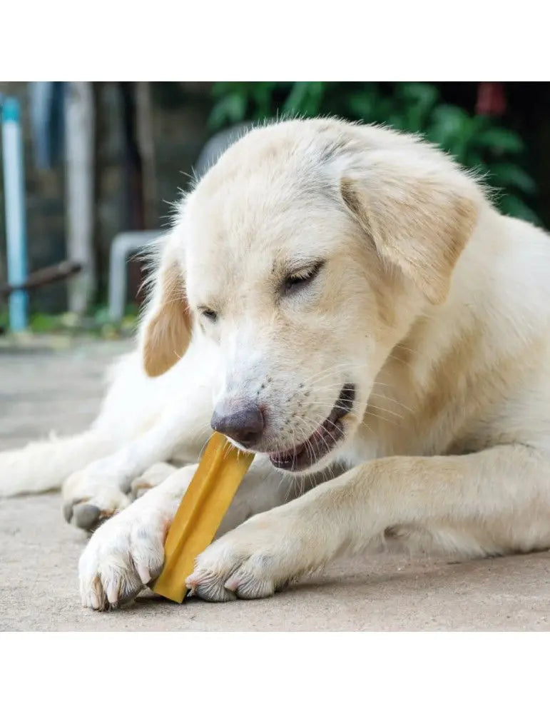 Barre de fromage premium au lait de Yak CHURPI