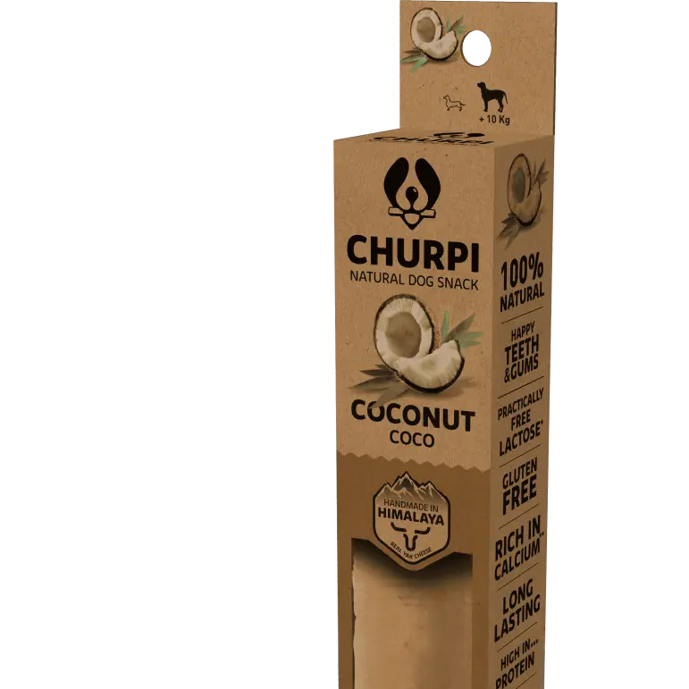 Barre de fromage premium au lait de Yak et noix de coco CHURPI