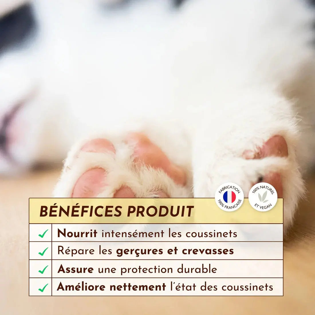 Baume Doux Coussinets DEXTER & MANGO