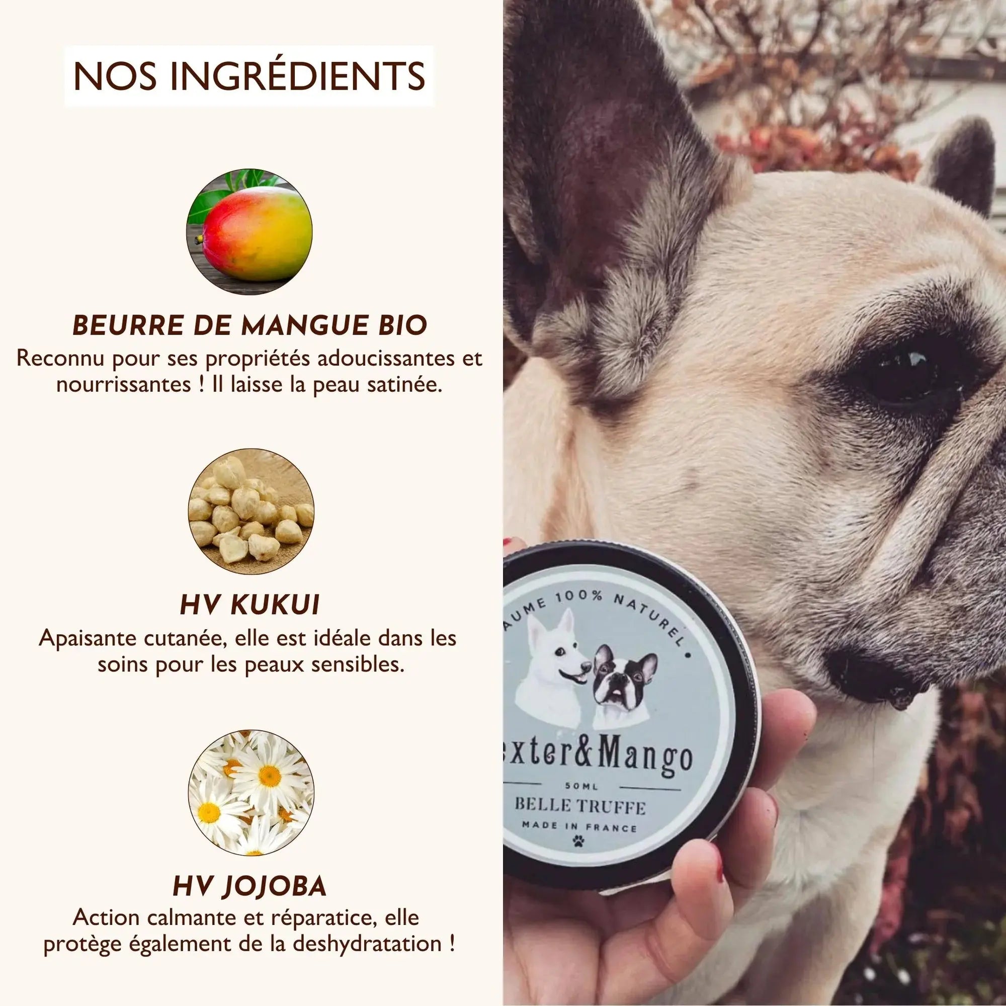 Baume belle truffe DEXTER & MANGO