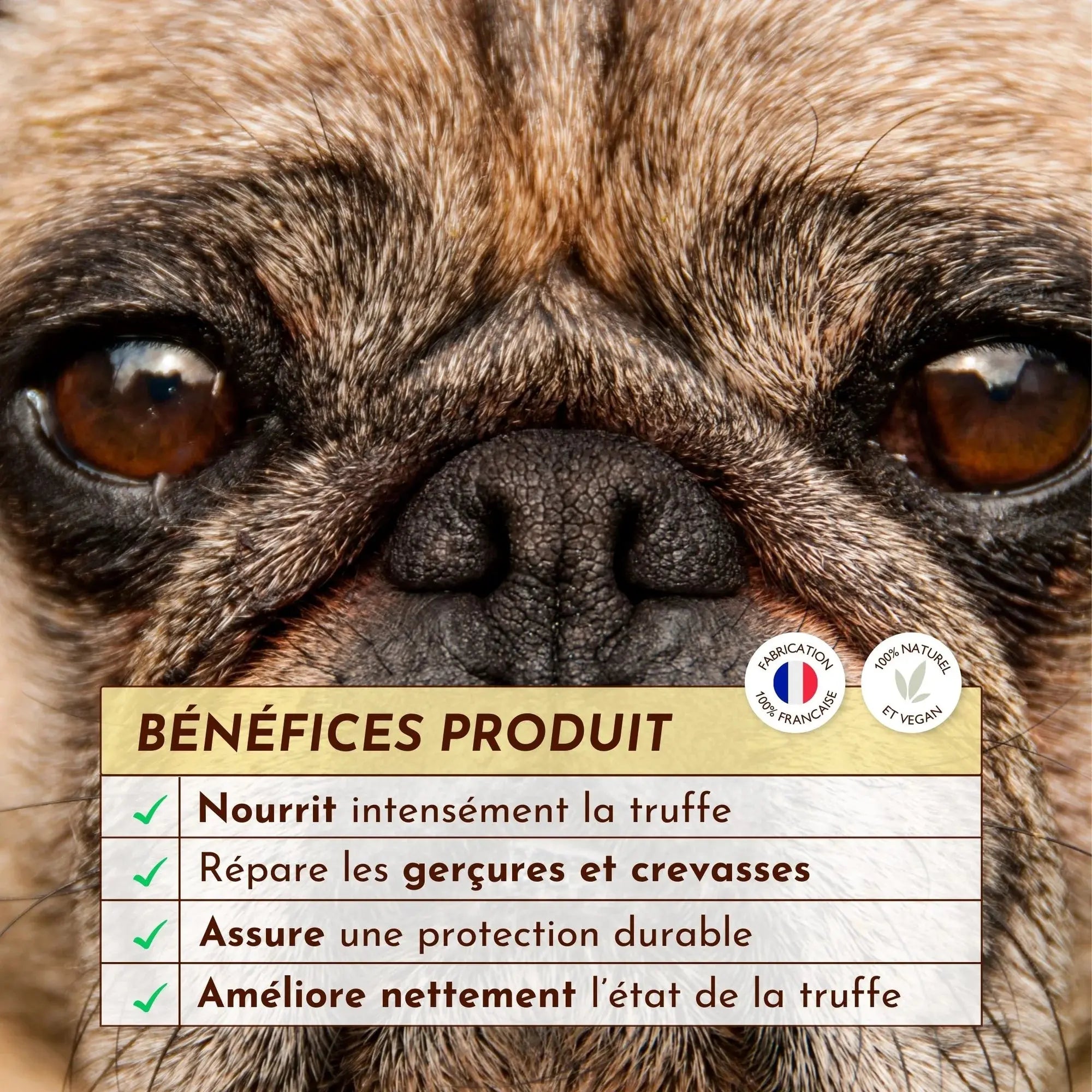 Baume belle truffe DEXTER & MANGO