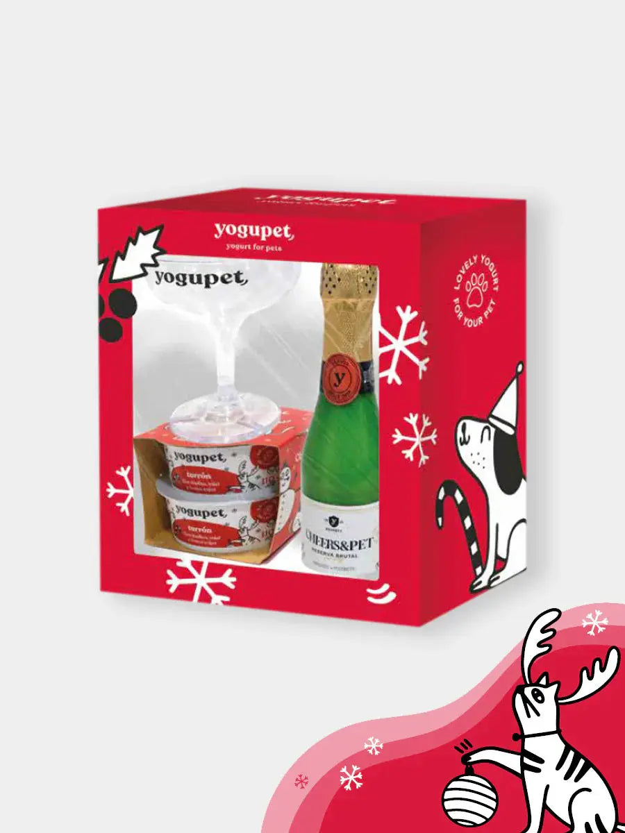 Box de Noël Yogupet YOGUPET