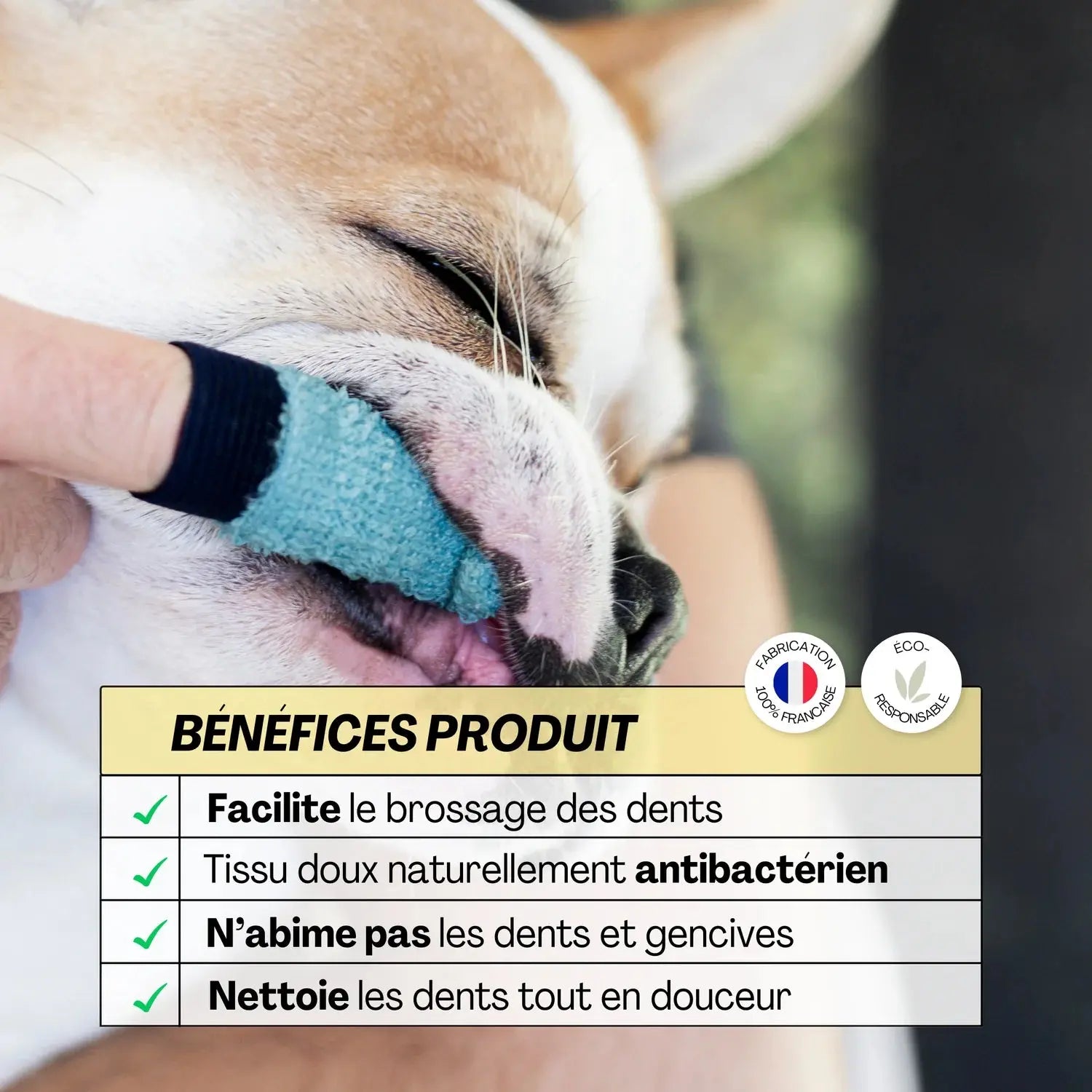 Brosse a dent – eco-responsable DEXTER & MANGO