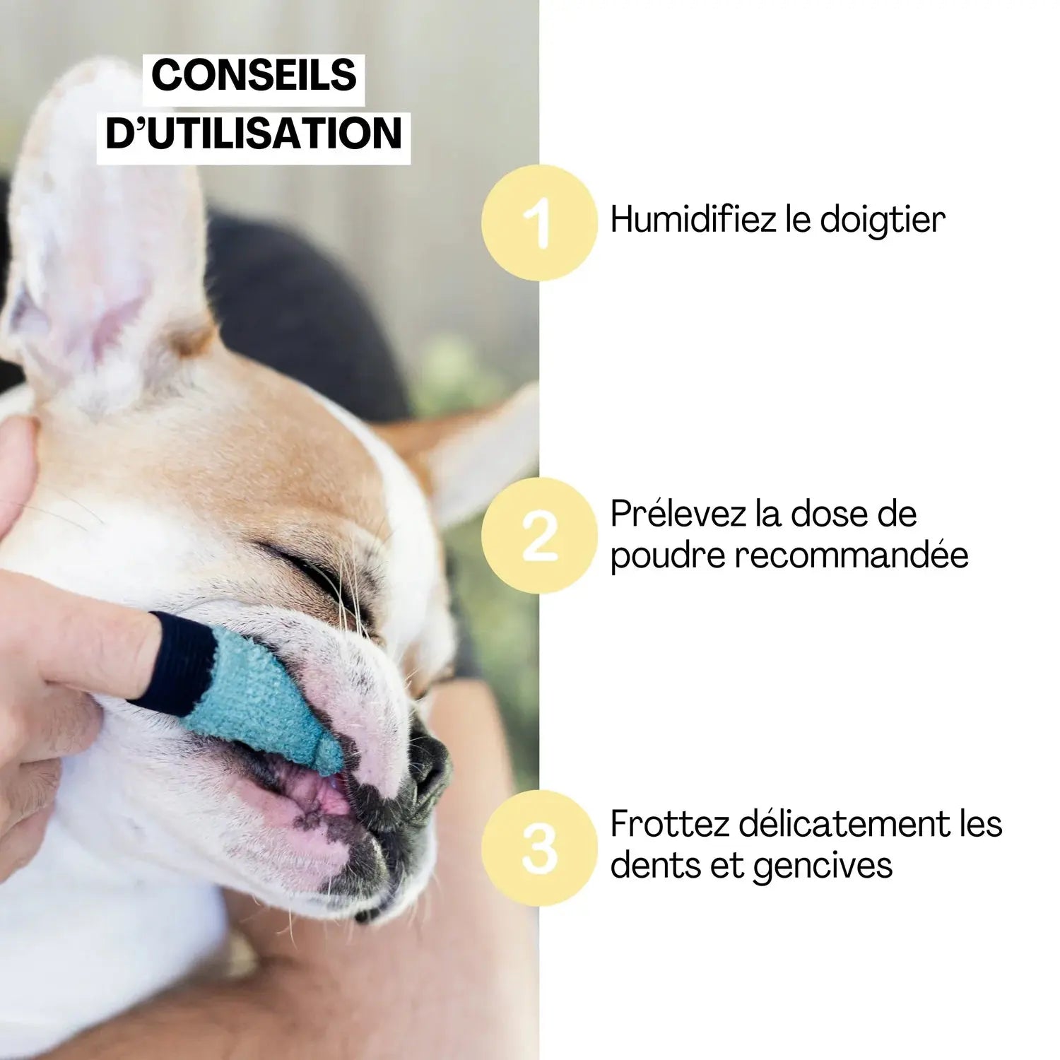 Brosse a dent – eco-responsable DEXTER & MANGO