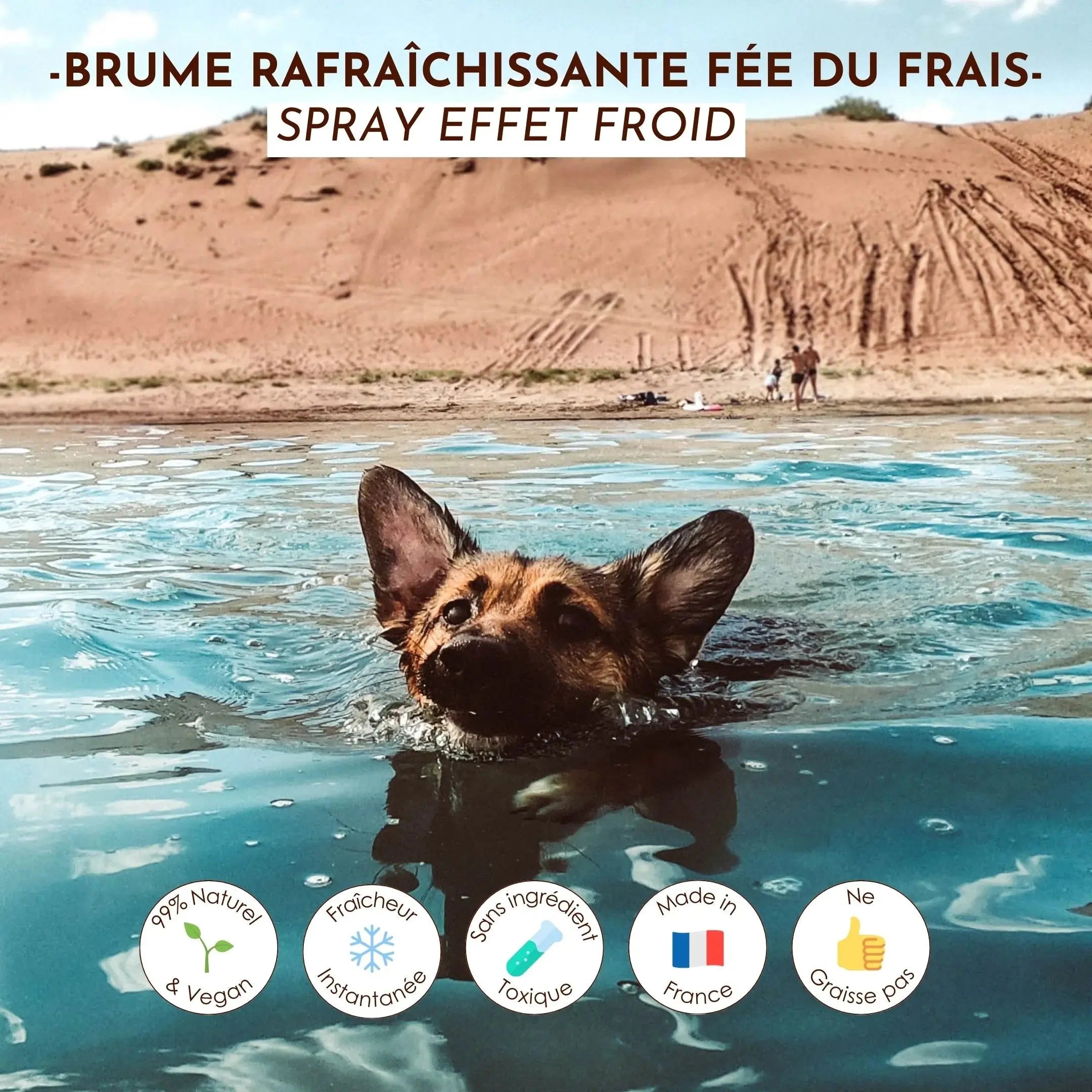 Brume pour chien rafraîchissante – Fée du frais DEXTER & MANGO