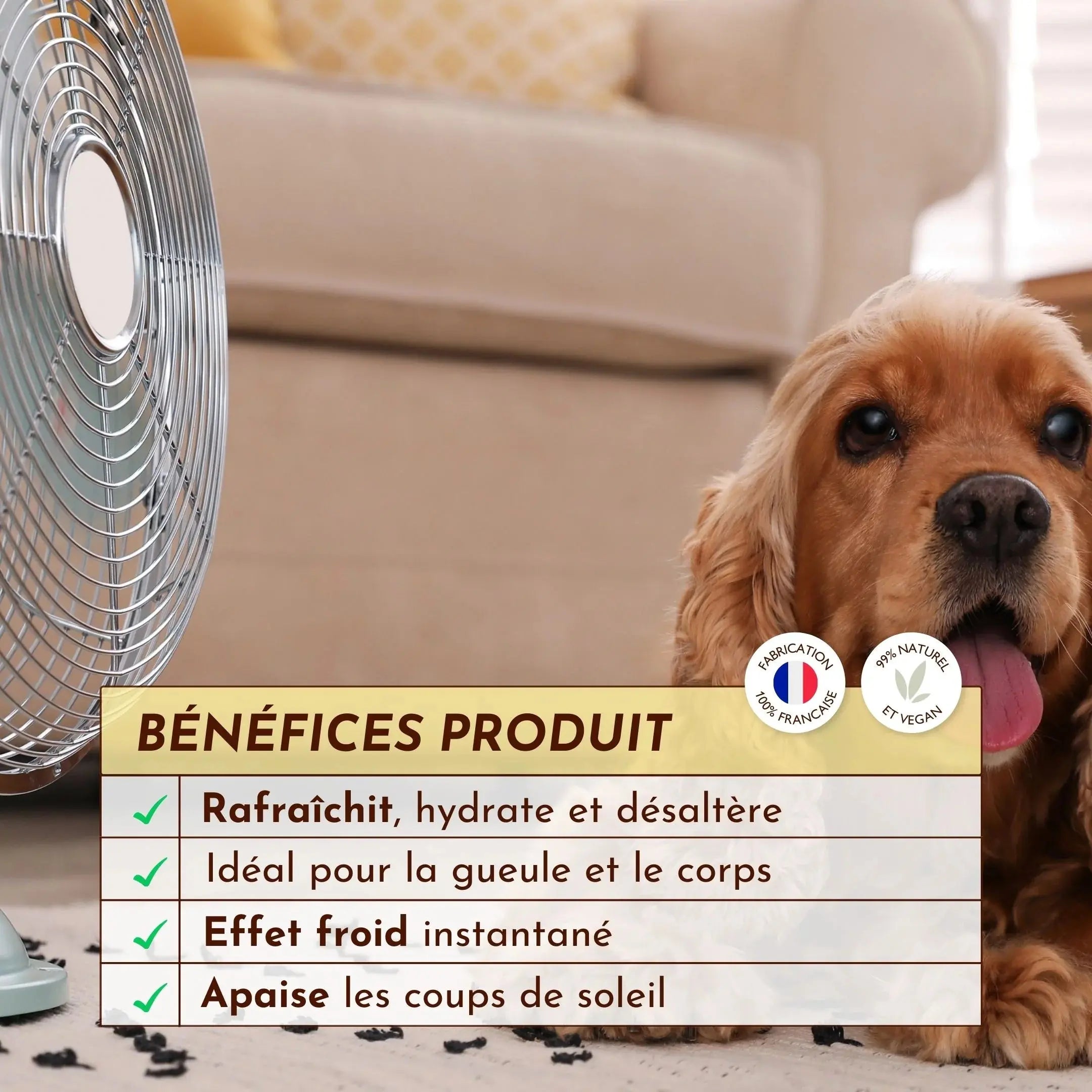 Brume pour chien rafraîchissante – Fée du frais DEXTER & MANGO