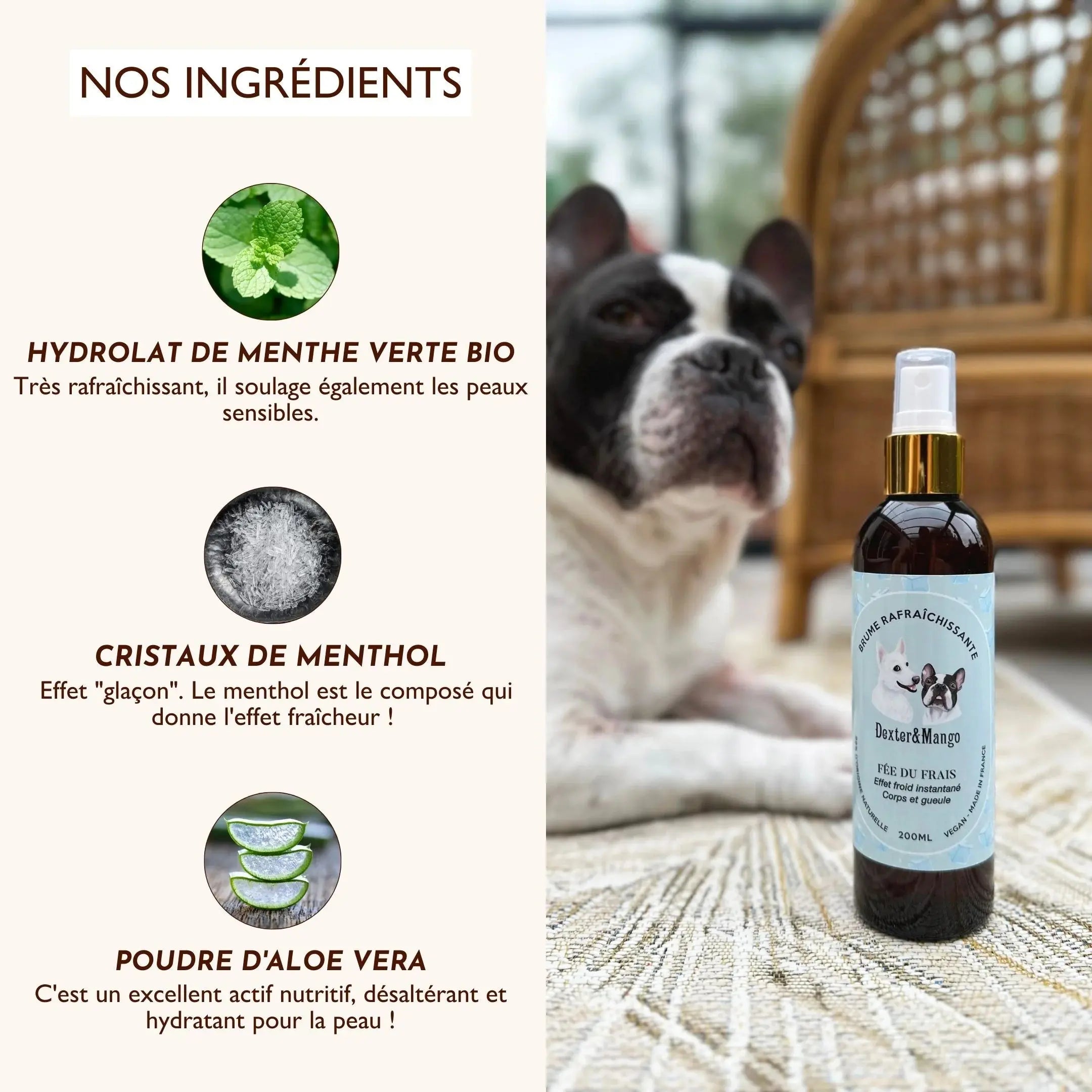 Brume pour chien rafraîchissante – Fée du frais DEXTER & MANGO