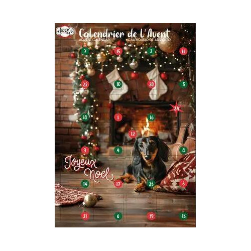 Calendrier de l'Avent - Chien DOOGY