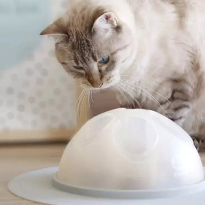 Cat Igloo – Jouet interactif pour Chat INOOKO