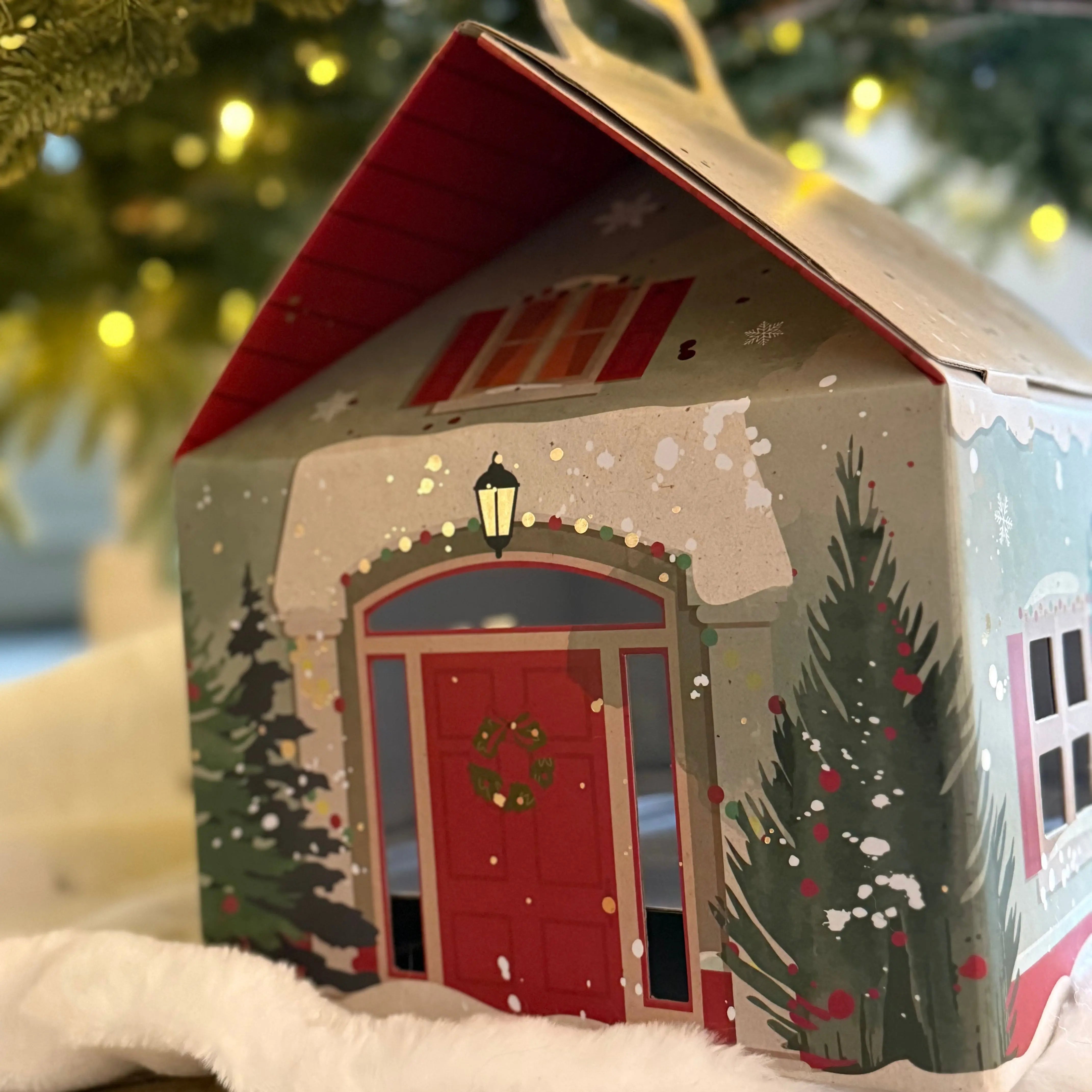 Coffret surprise de Noël Dog&Cat étoiles