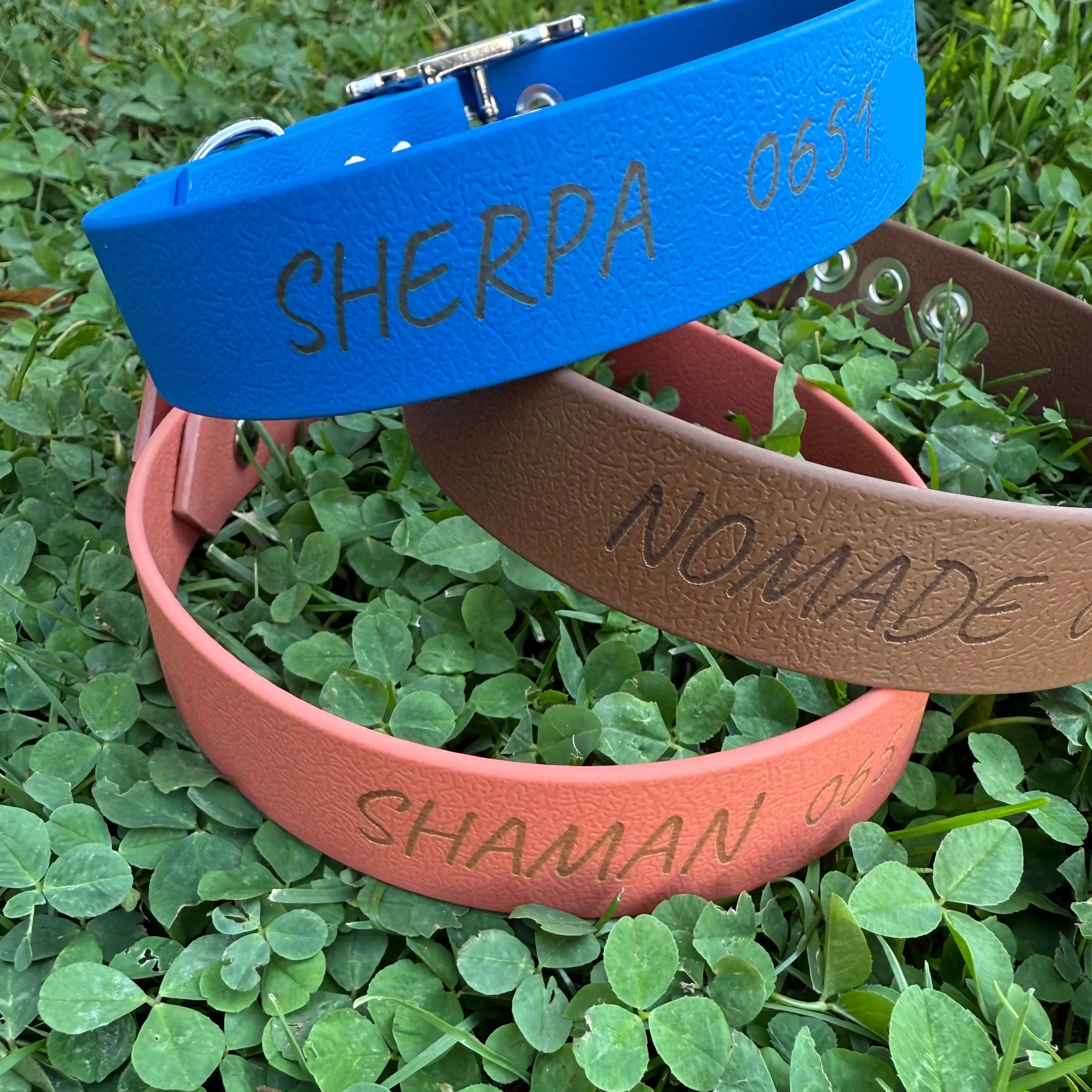 Collier Personnalisé en Biothane DOG & CAT ETOILES