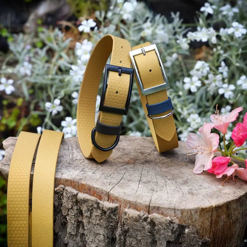 Collier Personnalisé en Hexa DOG & CAT ETOILES