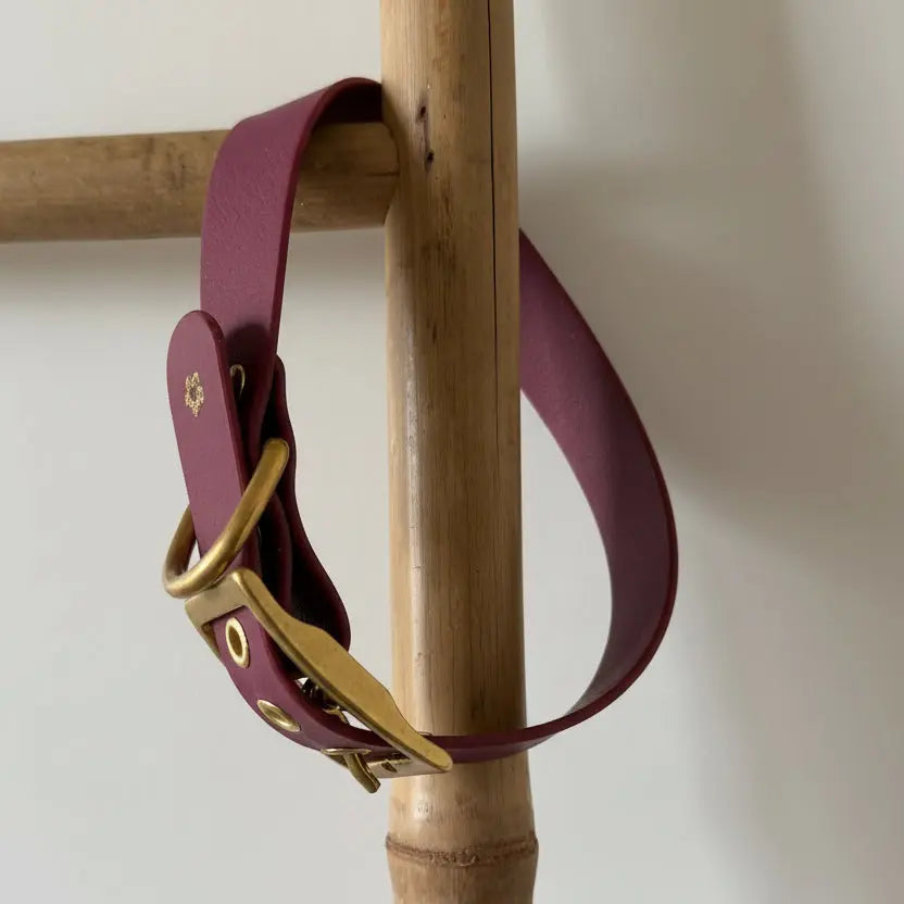 Collier Personnalisé en PAWTEX DOG & CAT ETOILES