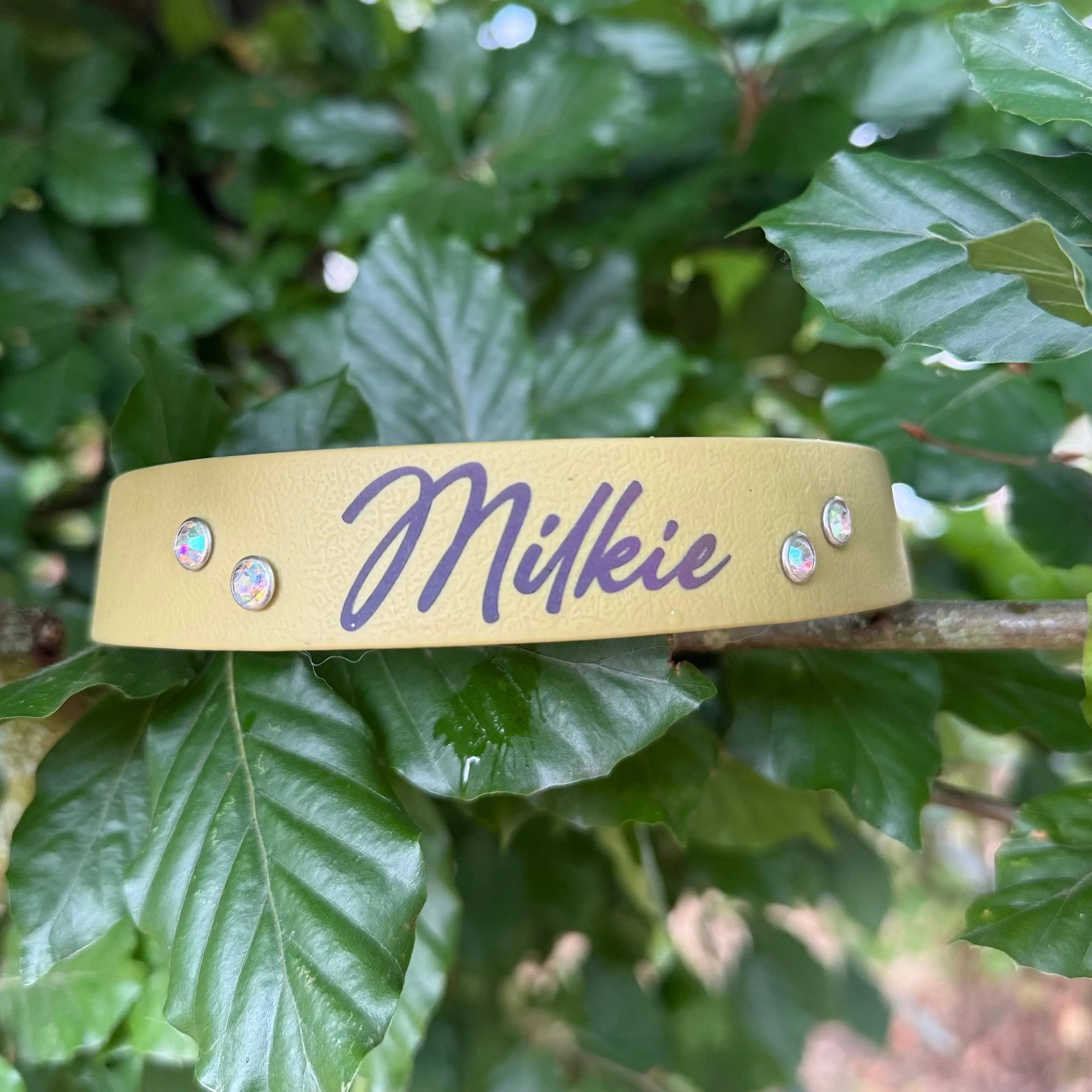 Collier Personnalisé en TPU DOG & CAT ETOILES