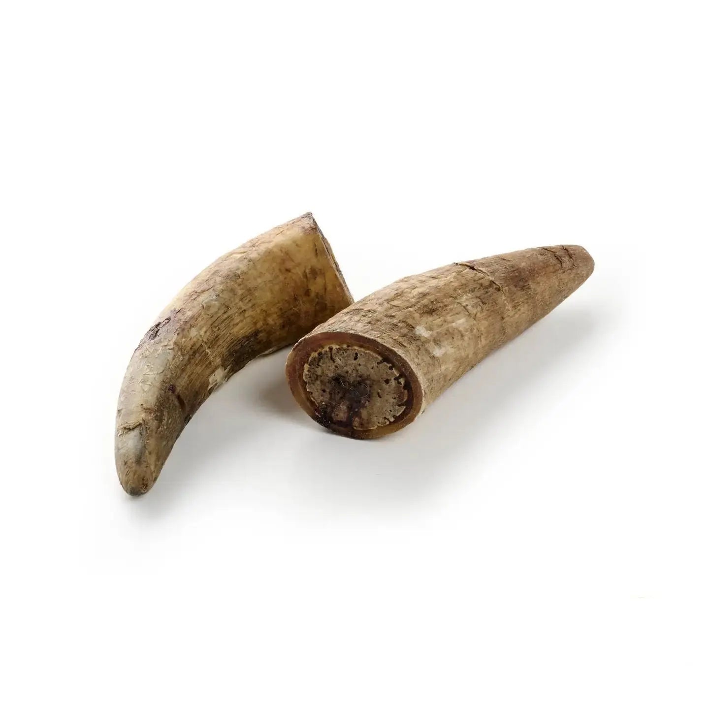 Corne de Bœuf XL DOG & CAT ETOILES