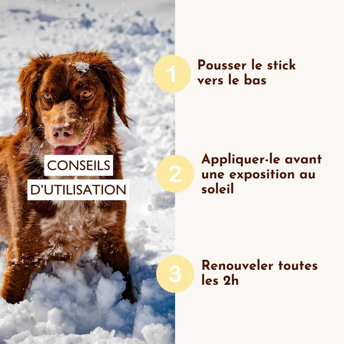 Crème solaire SPF30 Lézarderas-tu ? DEXTER & MANGO