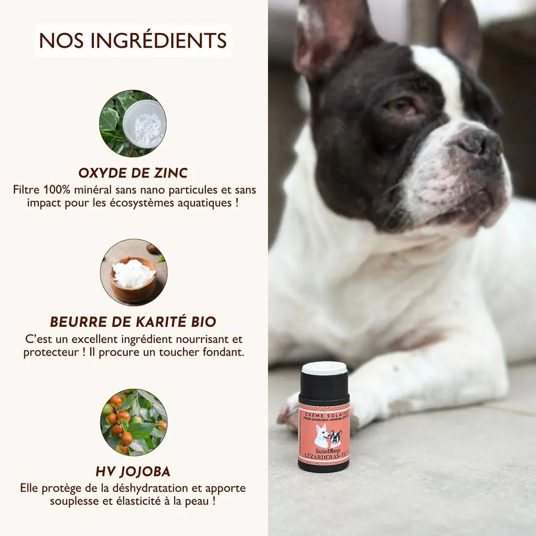 Crème solaire SPF30 Lézarderas-tu ? DEXTER & MANGO