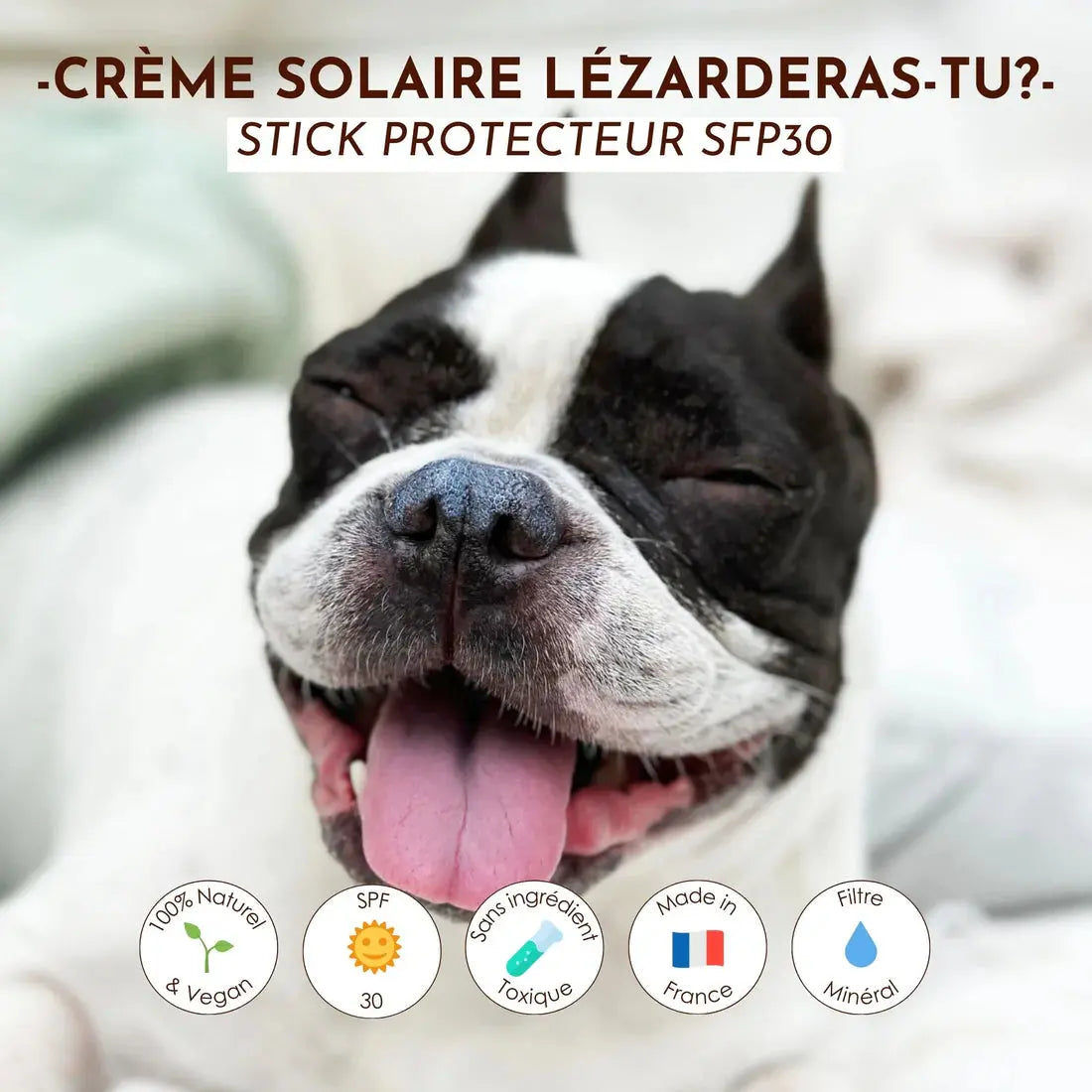 Crème solaire SPF30 Lézarderas-tu ? DEXTER & MANGO