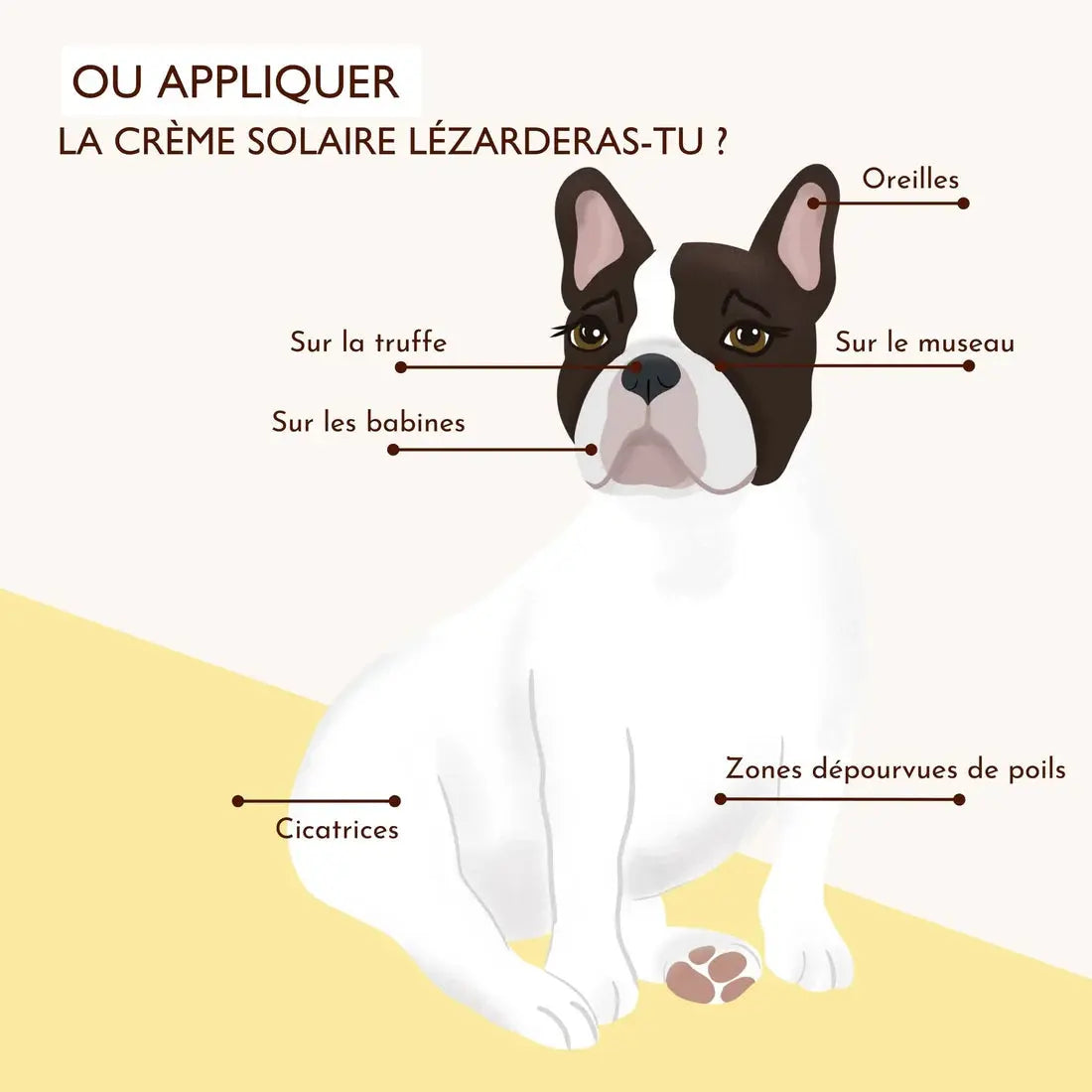 Crème solaire SPF30 Lézarderas-tu ? DEXTER & MANGO