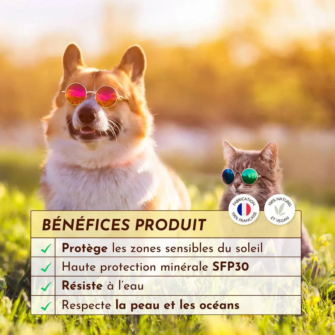 Crème solaire SPF30 Lézarderas-tu ? DEXTER & MANGO