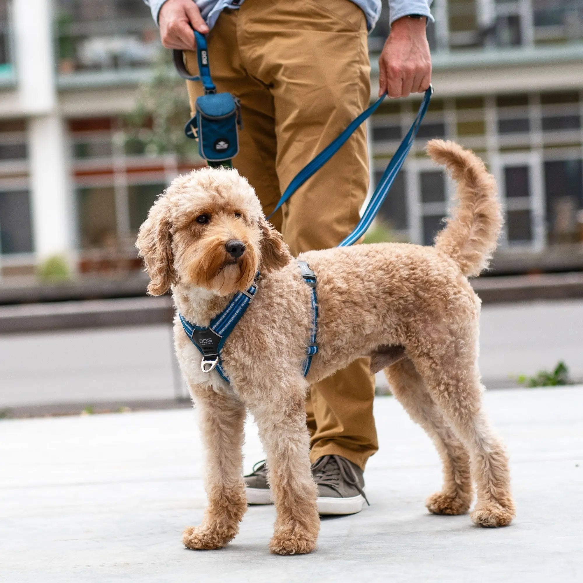 DOG COPENHAGEN - Harnais Comfort Walk Air DOG COPENHAGEN