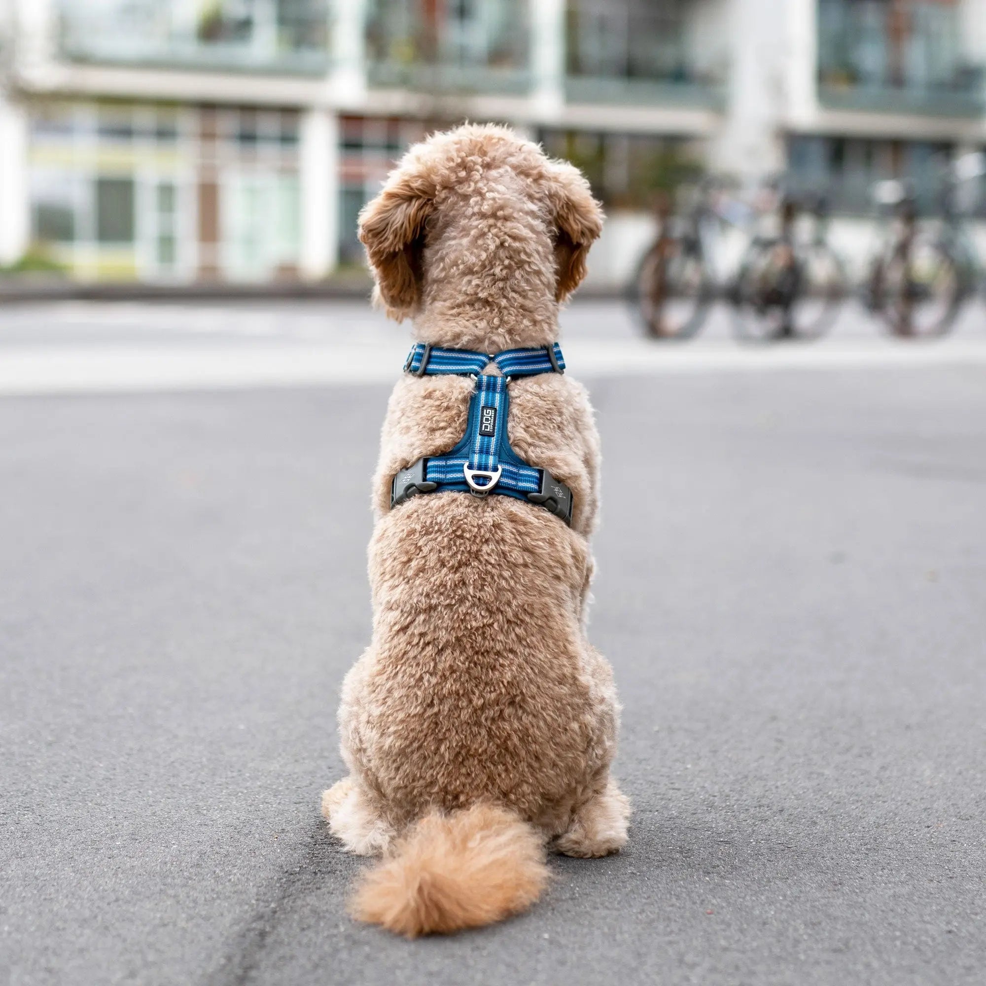 DOG COPENHAGEN - Harnais Comfort Walk Air DOG COPENHAGEN