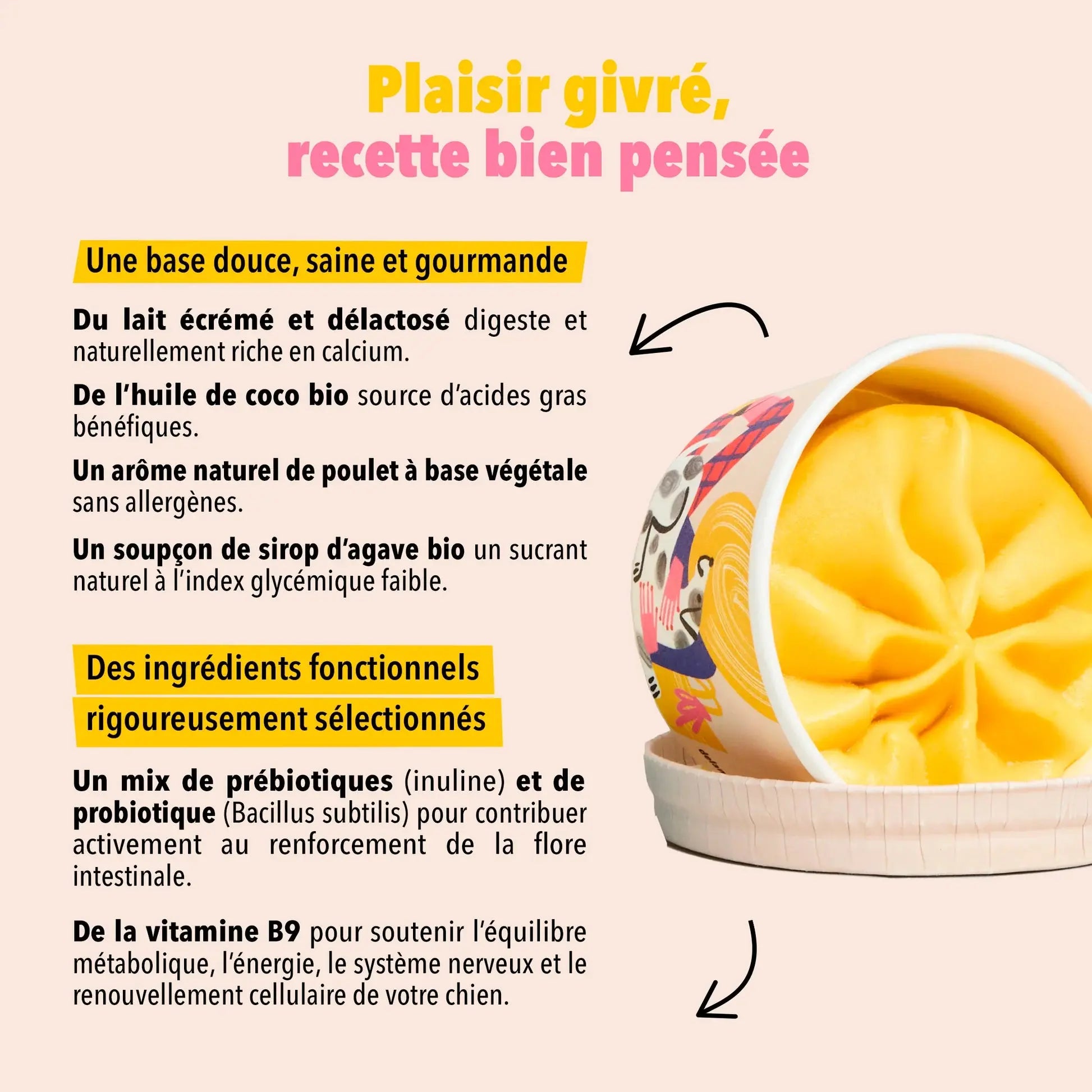Delamour - Glace La Vitaminée DELAMOUR