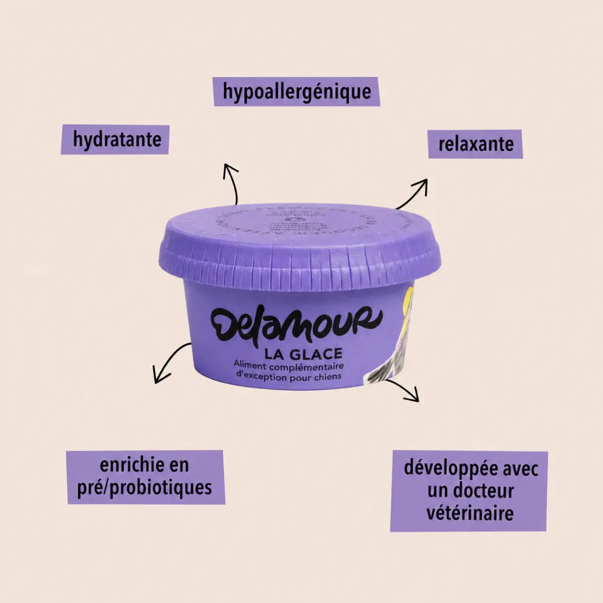 Delamour - Glace chien - Myrtille DELAMOUR