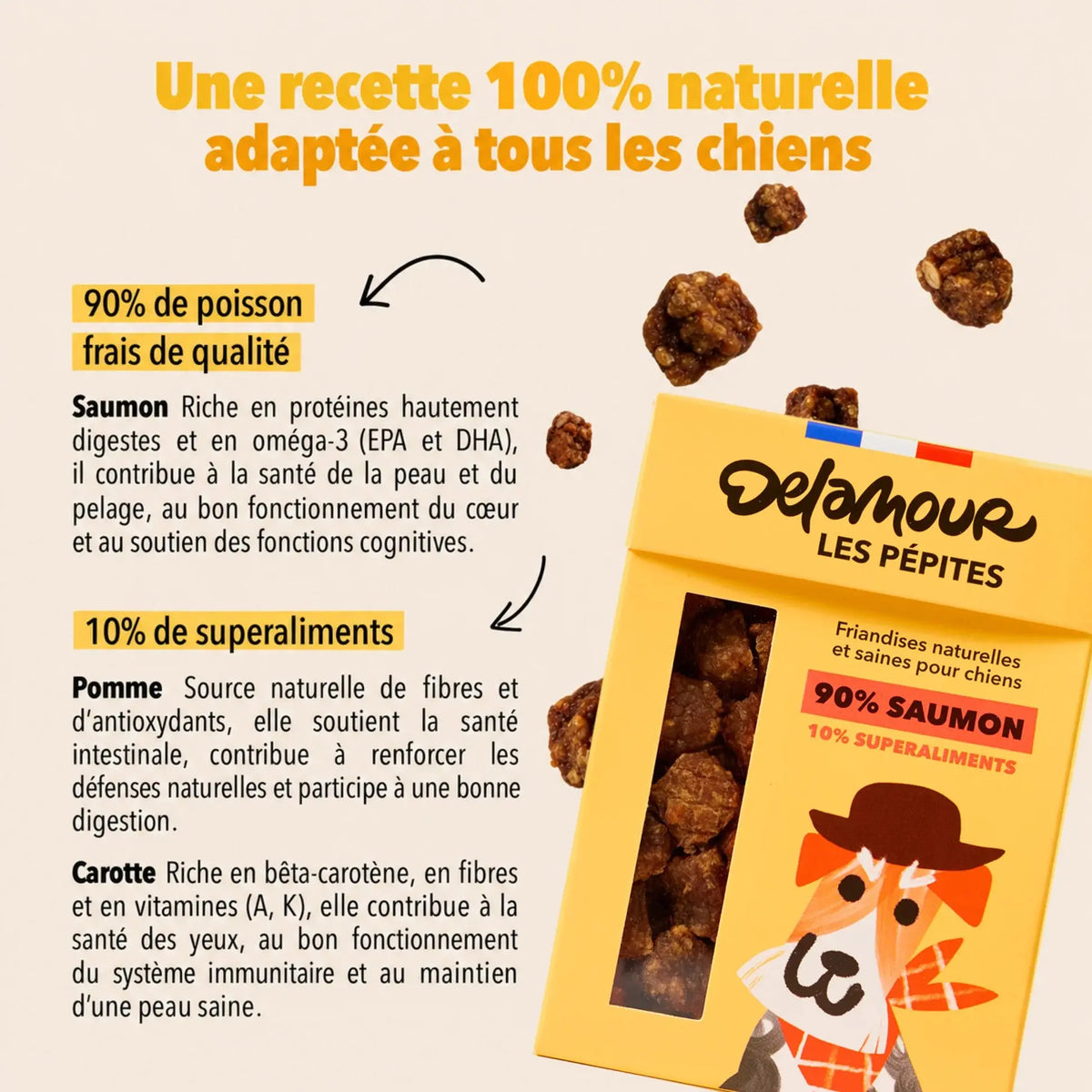 Delamour - Les pépites Saumon DELAMOUR