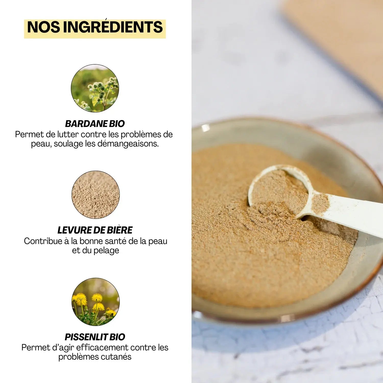 Démangeaisons chien et chat – L'aliment complémentaire Gratt'ouille DEXTER & MANGO