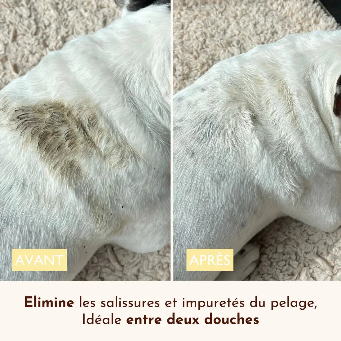 Eau micellaire nettoyante – Ô Pimpante ! DEXTER & MANGO