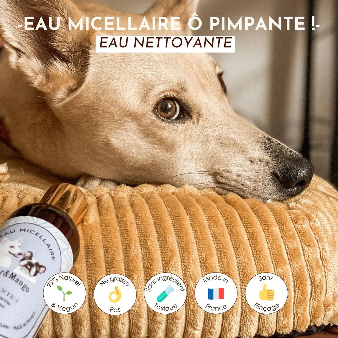 Eau micellaire nettoyante – Ô Pimpante ! DEXTER & MANGO