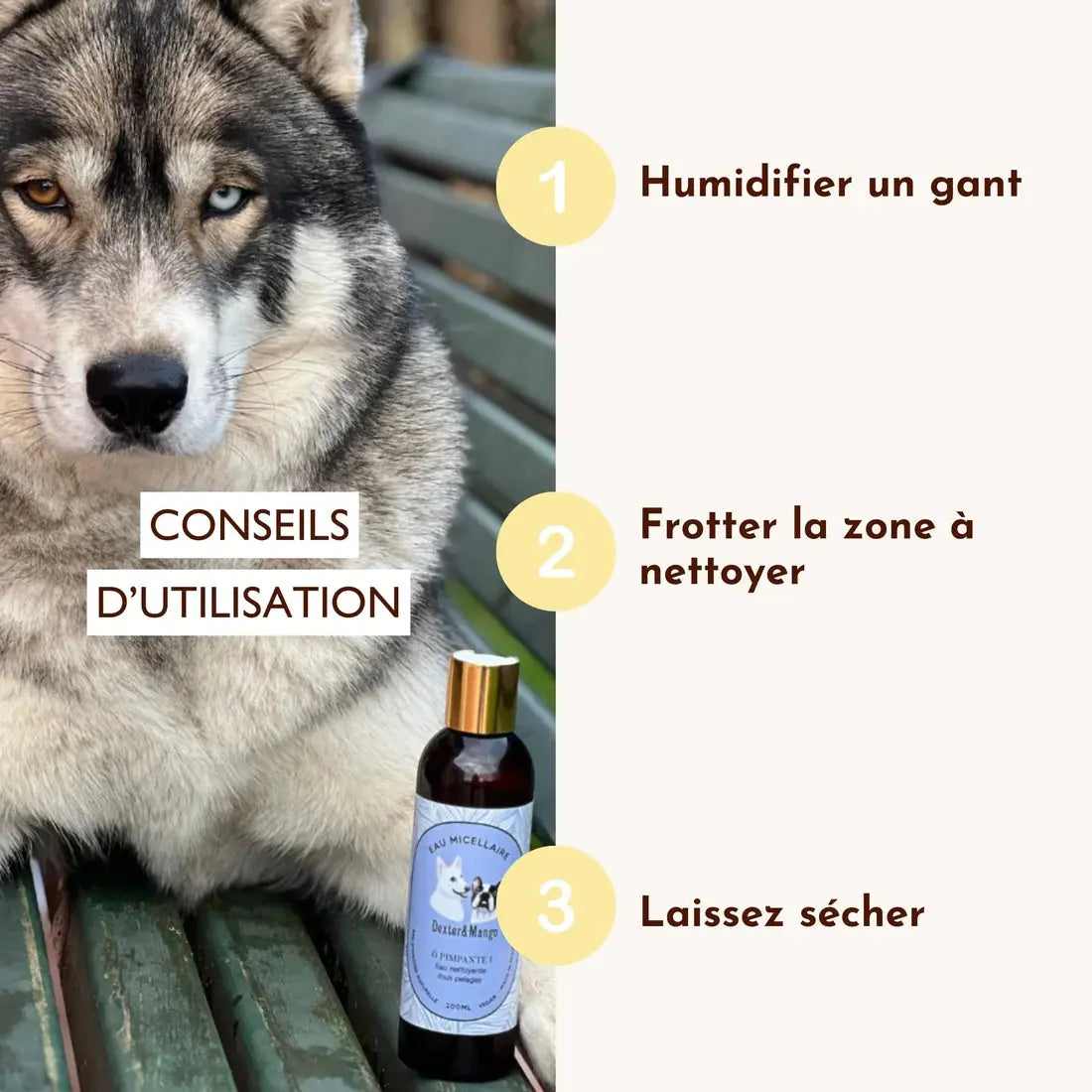 Eau micellaire nettoyante – Ô Pimpante ! DEXTER & MANGO