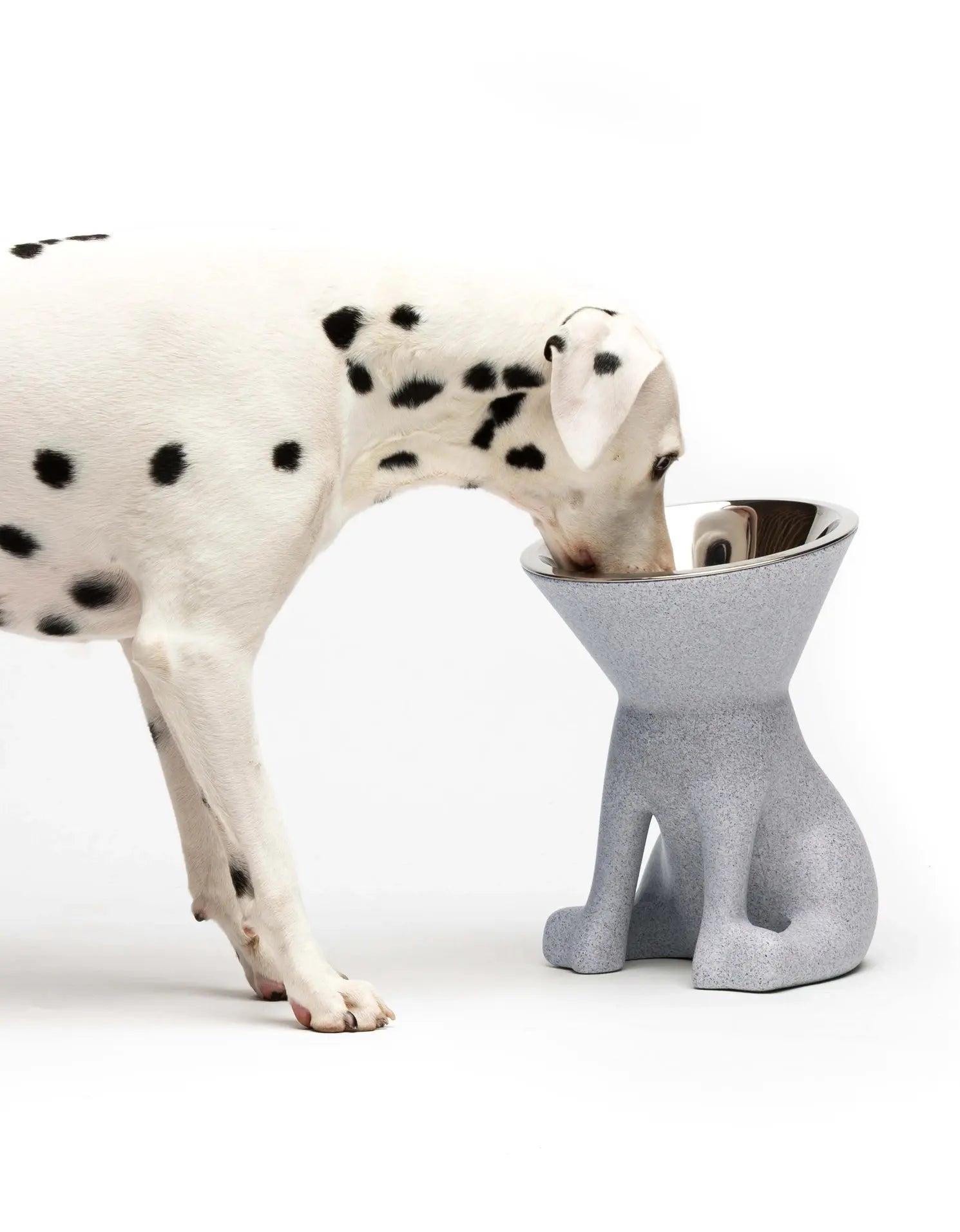 Elizabeth – Gamelle surélevée pour chiens INOOKO