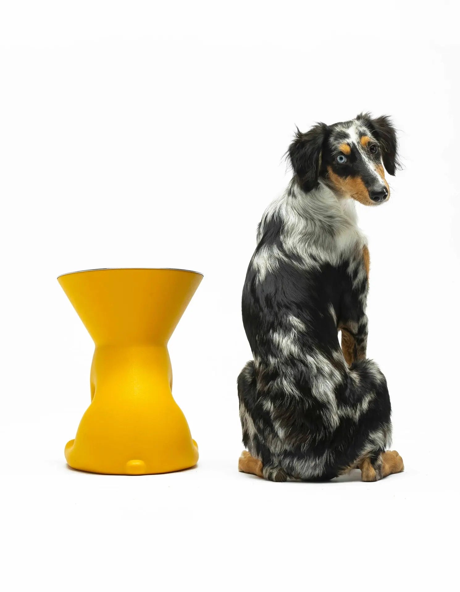 Elizabeth – Gamelle surélevée pour chiens INOOKO