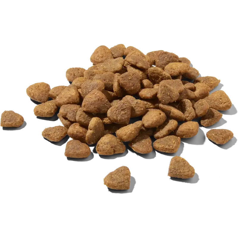 FRED & FELIA - Croquettes chat Premium au Poulet FRED & FELIA