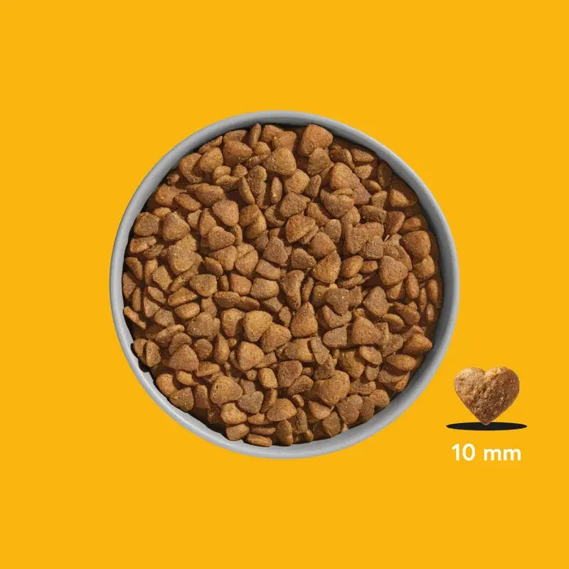 FRED & FELIA - Croquettes chat Premium au Poulet FRED & FELIA
