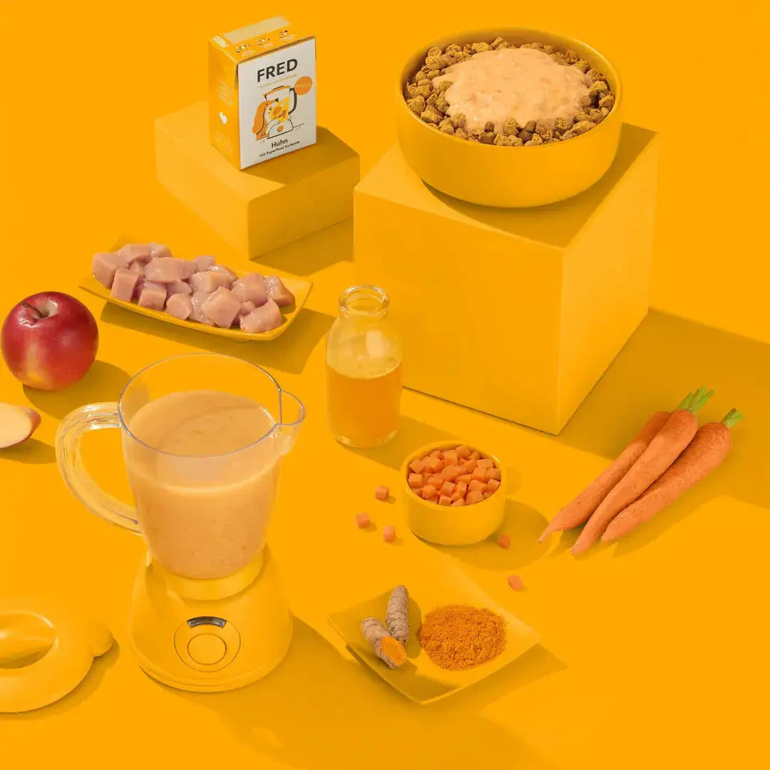 FRED & FELIA - Smoothie de Poulet au curcuma FRED & FELIA