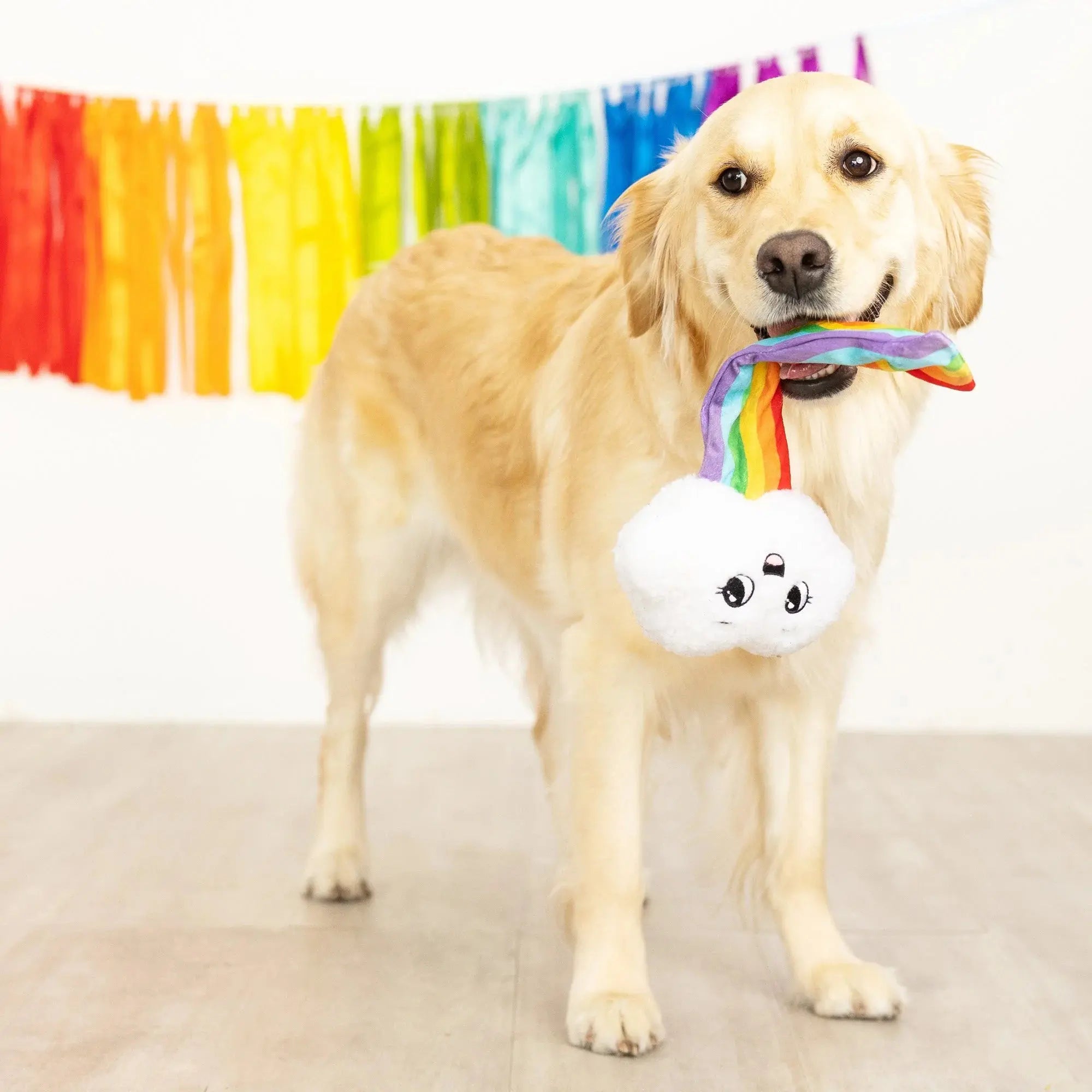 FRINGE - Jouet Chien - Nuage arc-en-ciel FRINGE