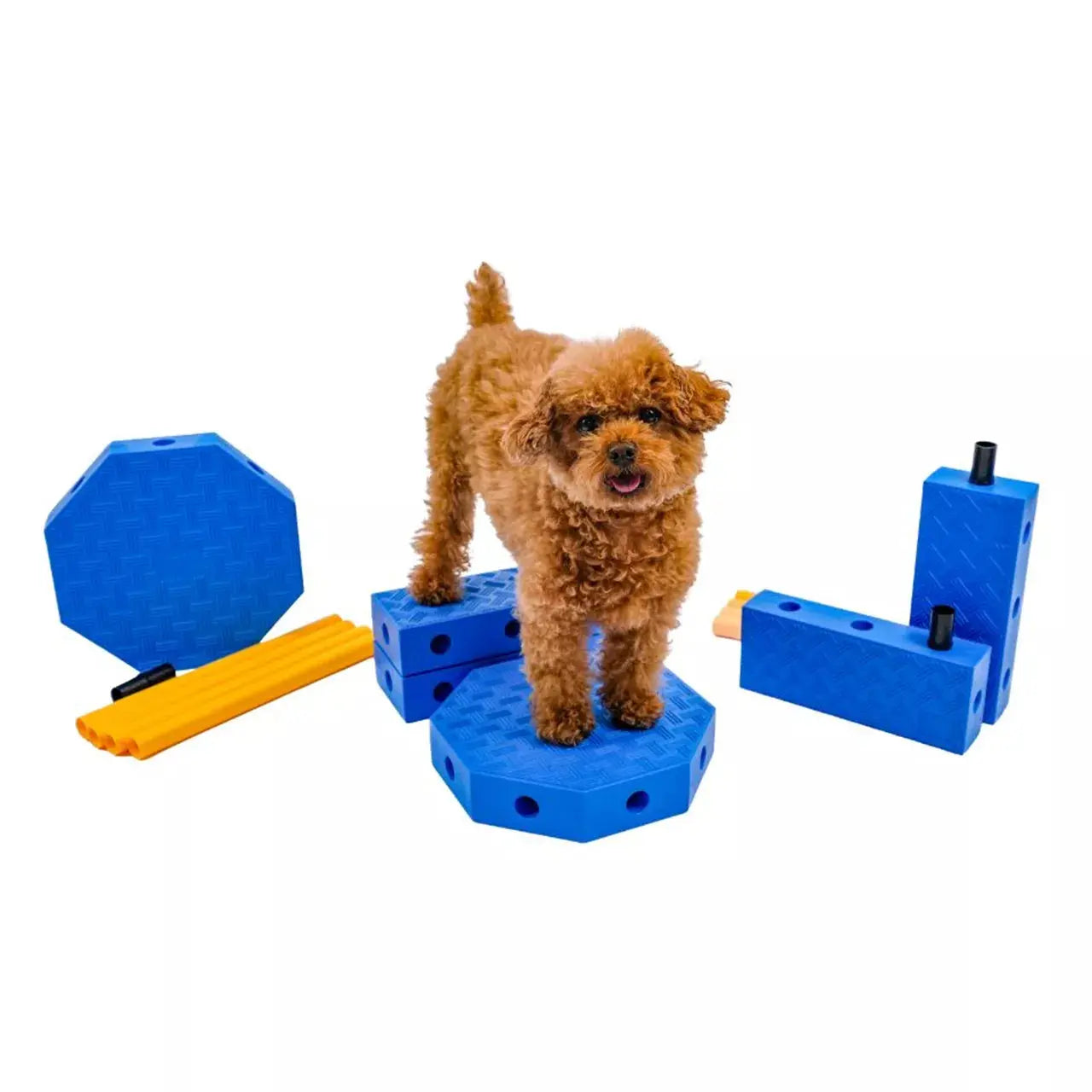 FitPAWS FitKinect Core – Système de fitness & rééducation chien FITPAWS