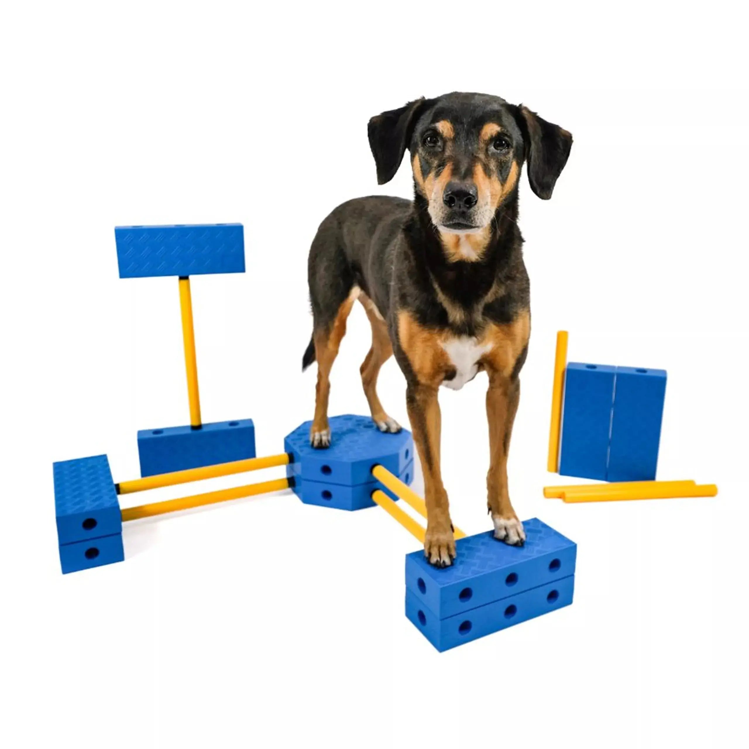 FitPAWS FitKinect Xtra – Fitness & Rééducation Canine FITPAWS