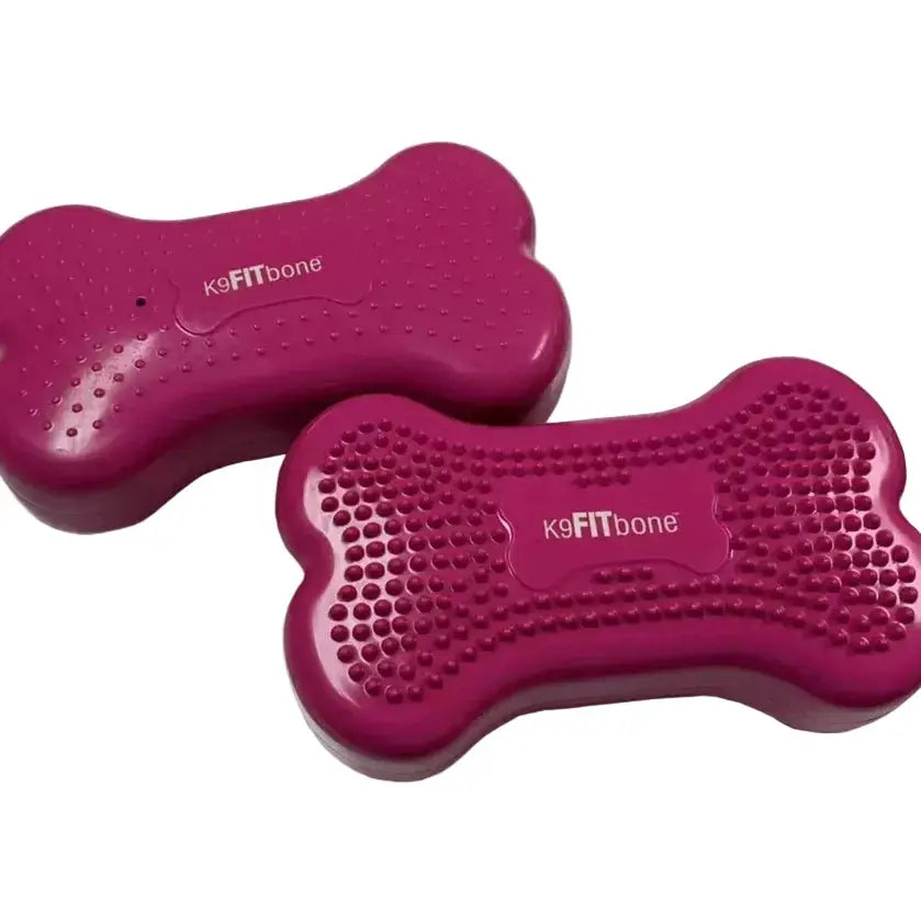 FitPaws Bone Mini – Set de 2 – Plateformes de fitness chien FITPAWS