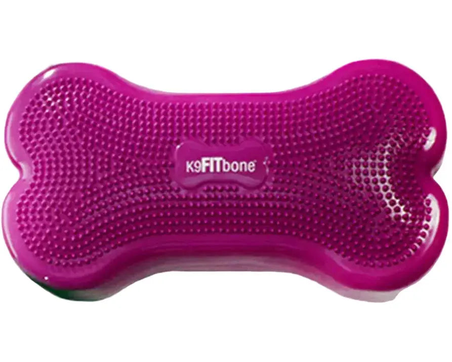 FitPaws K9FITbone - équilibre pour chien FITPAWS