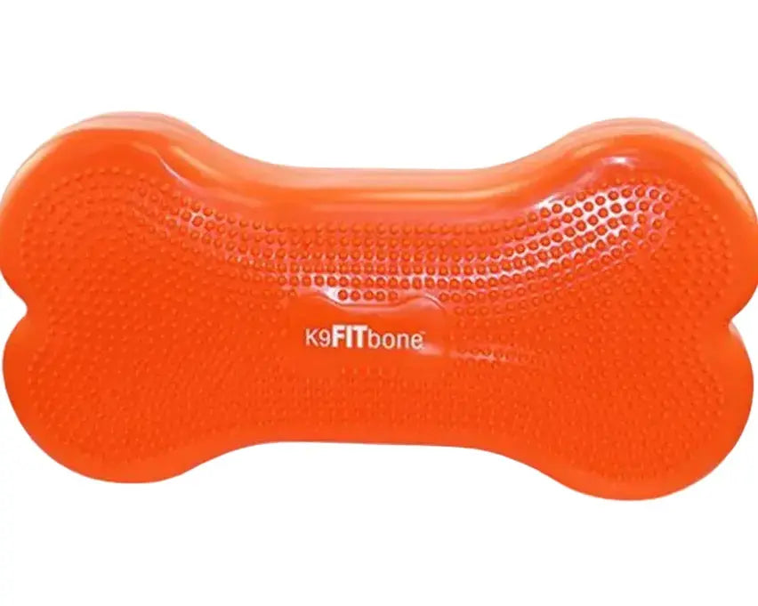 FitPaws K9FITbone - équilibre pour chien FITPAWS