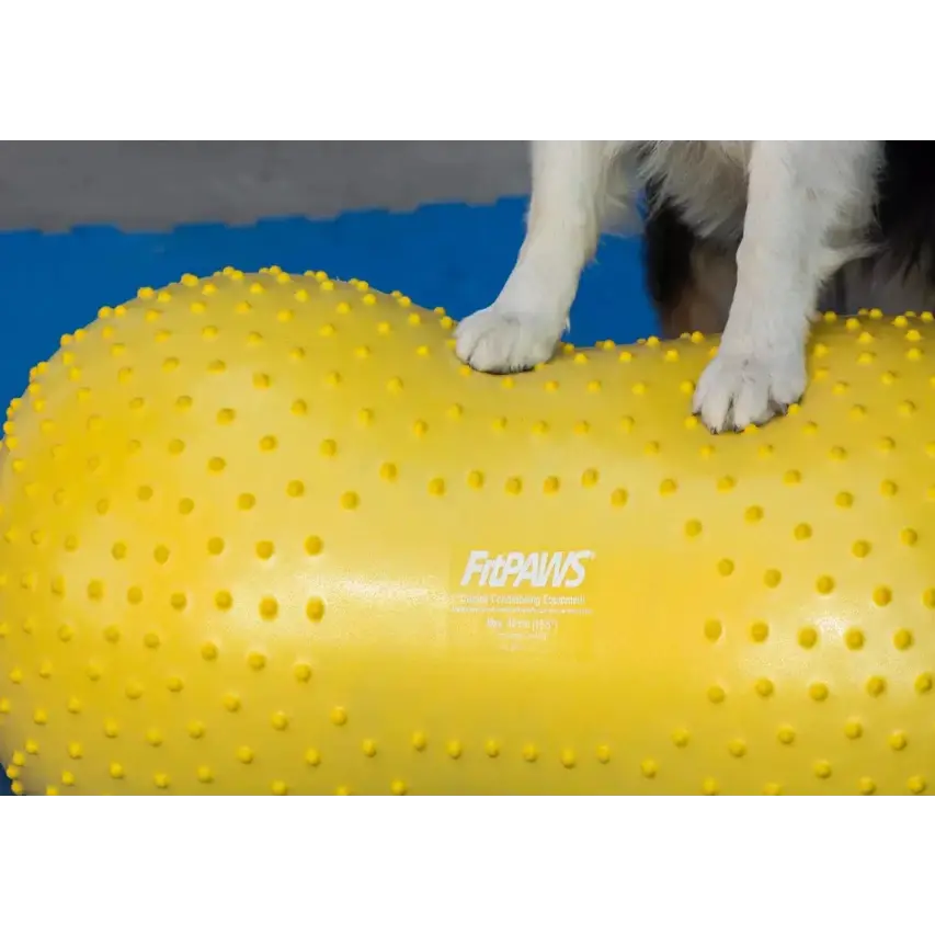 FitPaws Peanut TRAX – Ballon fitness & équilibre pour chien FITPAWS