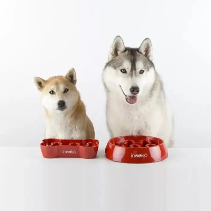 Gamelle Anti-Glouton Grand Chien INOOKO