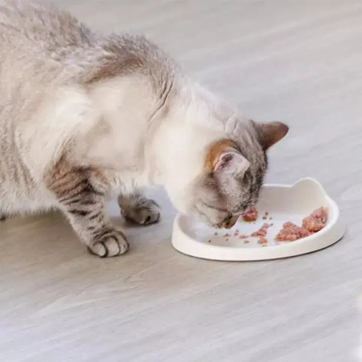 Gamelle MEOOW INOOKO