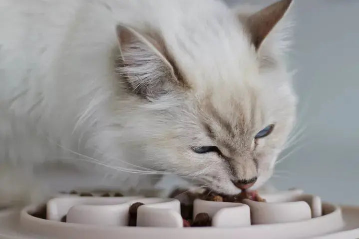 Gamelle anti-glouton INOOKO