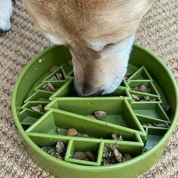 Gamelle enrichissement –Pine Tree SODAPUP