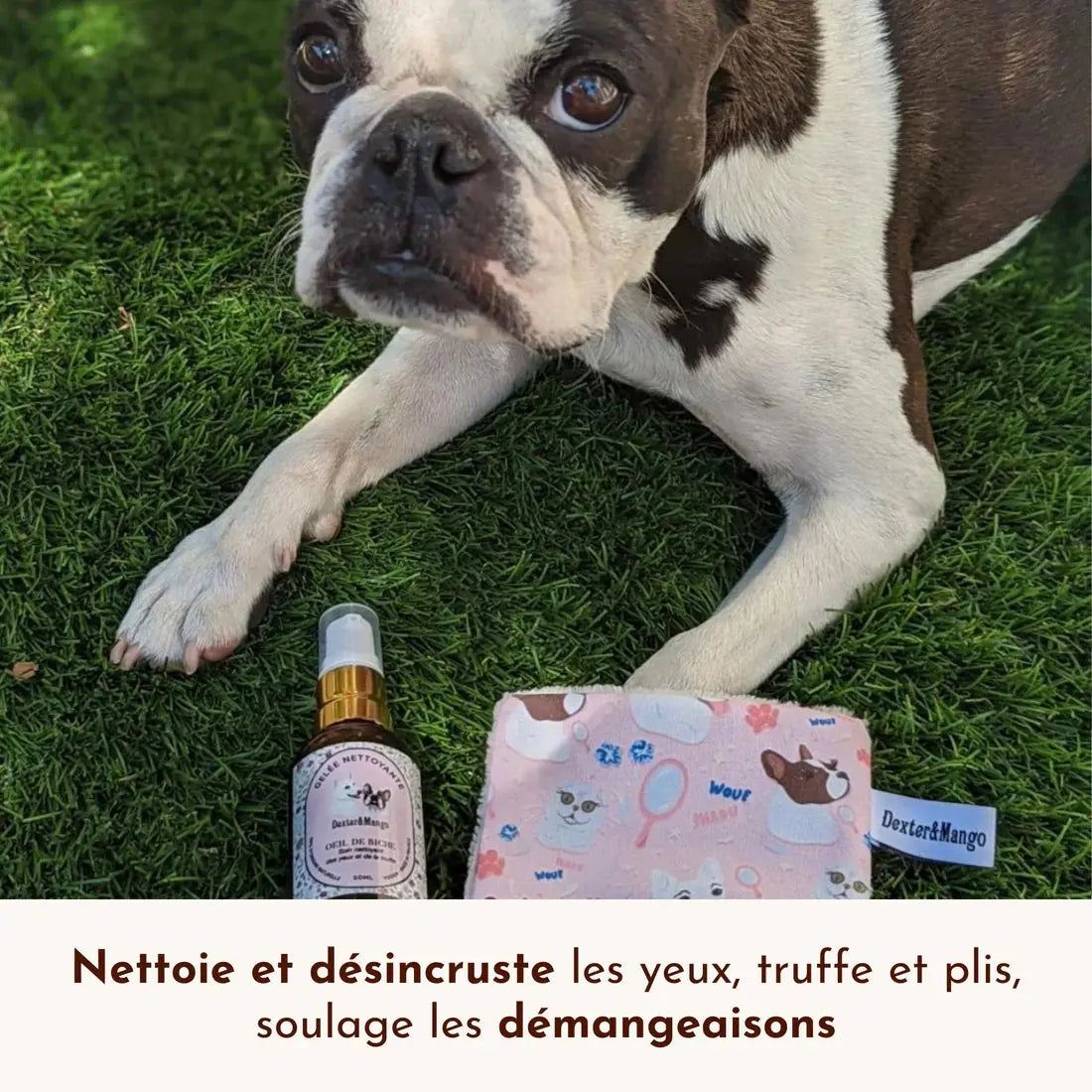 Gelée Nettoyante – Œil de Biche DEXTER & MANGO